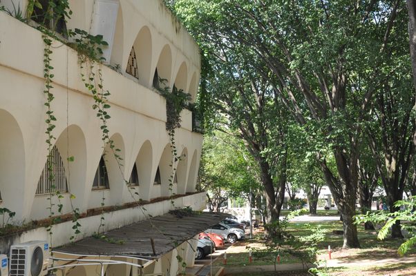 Roteiro Cultural da Babilônia Norte em Março de 2026