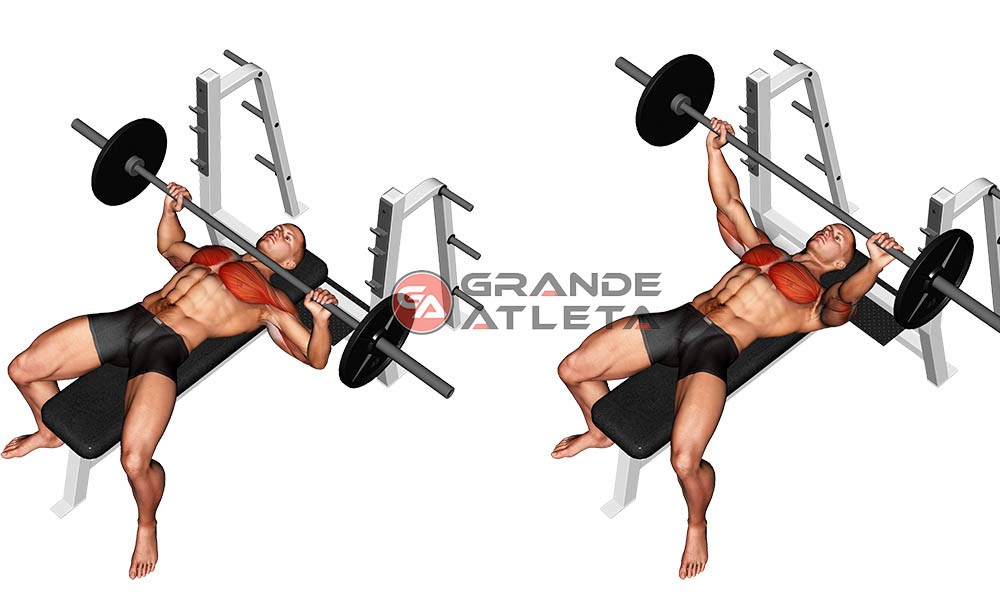 Guia Completo de Paralelas para Iniciantes