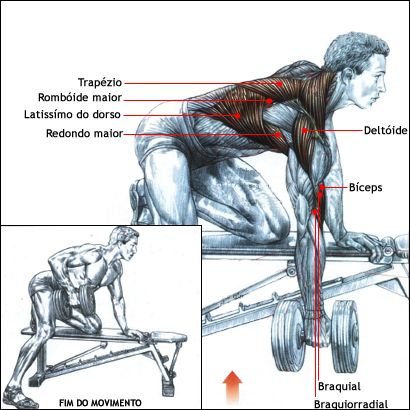 Prevenção de Lesões na Coluna: Exercícios Essenciais para Remadores