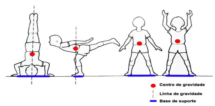Treinamento Proprioceptivo: Da Superfície Estável ao Desafio Máximo