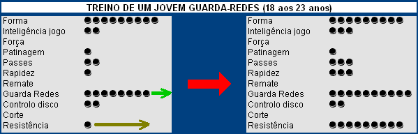 Guia Completo de Postura para Goleiros de Hóquei