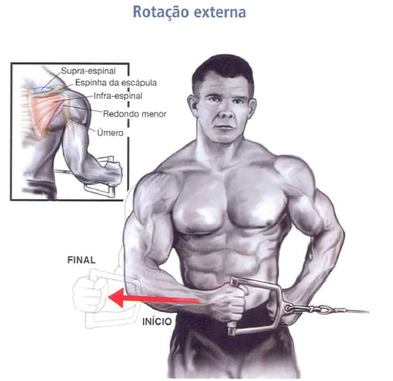 exercícios para fortalecer o manguito rotador