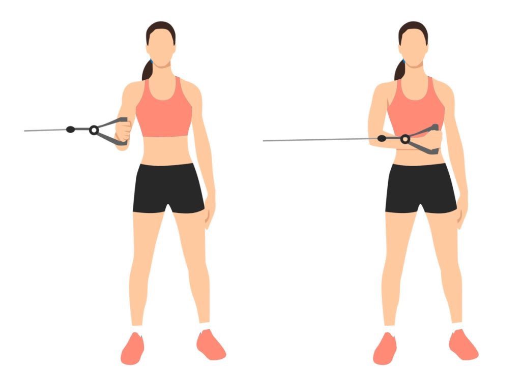 exercícios para fortalecer o ombro no tiro com arco