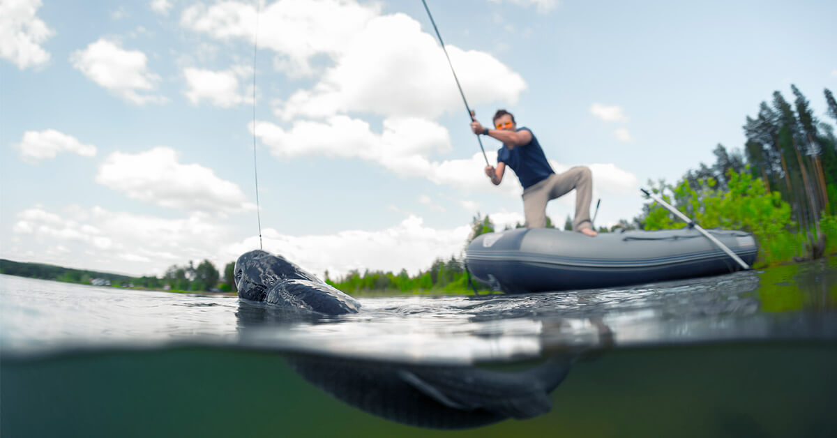 Técnicas de visada: O segredo para acertar o peixe na primeira tentativa