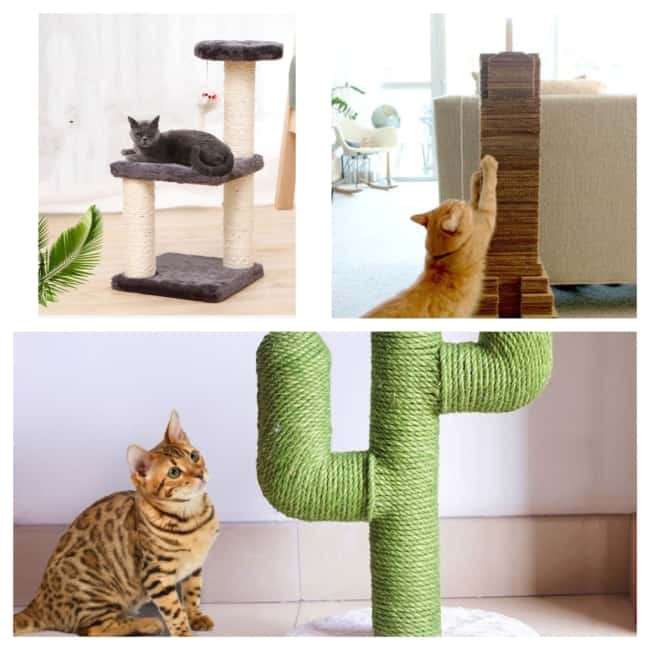 5 ideias de títulos