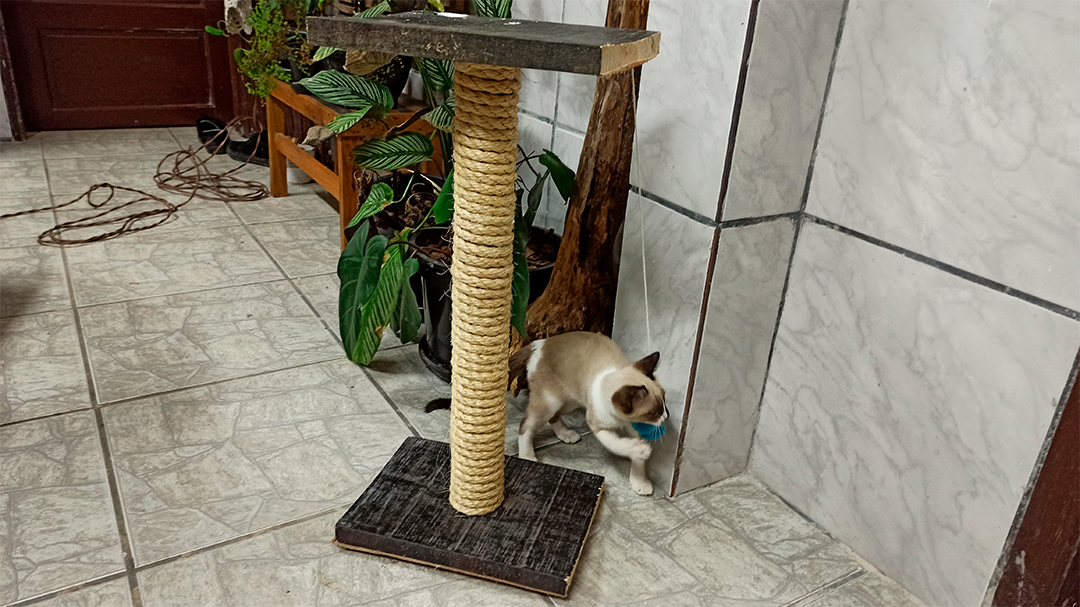 fazer arranhador gato caseiro
