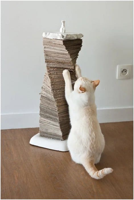 5 ideias de títulos