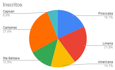 Entenda a Diferença: Gráfico de Pizza vs. Gráfico de Rosca