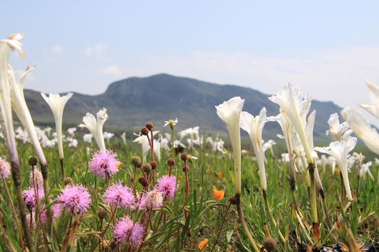 O que comer no Café Sabor & Arte da Torre Digital