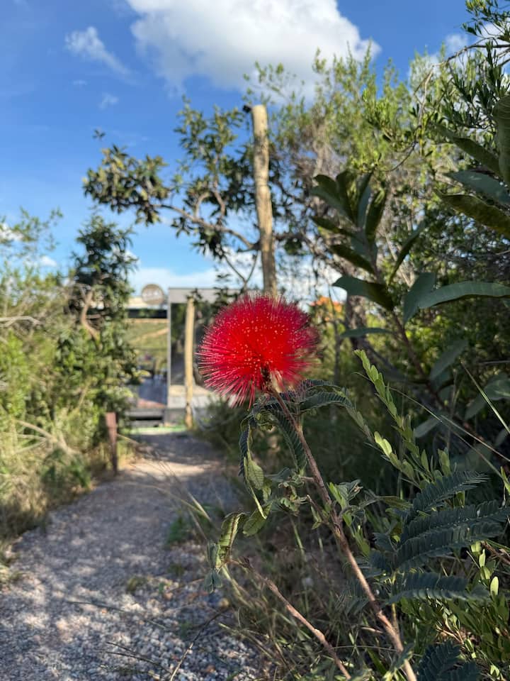 A história da Torre Digital de Brasília