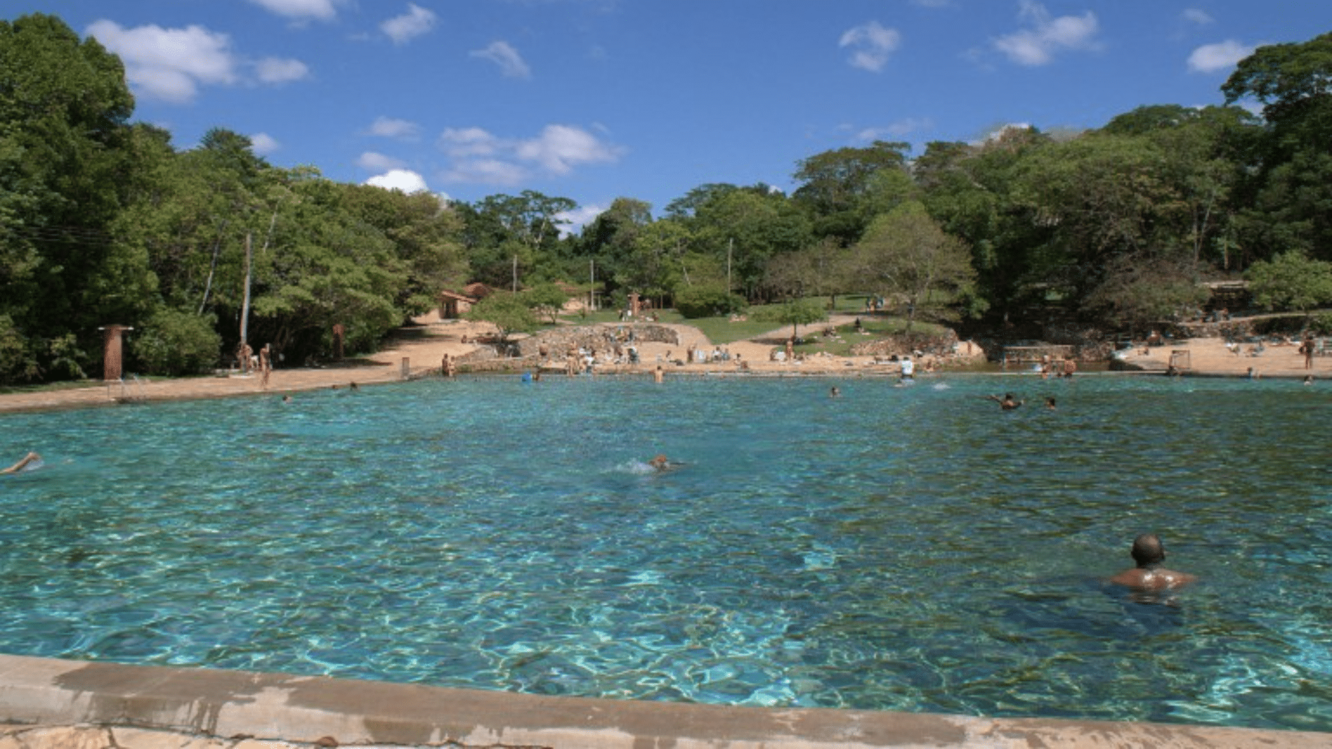 10 Lugares Incríveis para Fotografar Ipês em Brasília