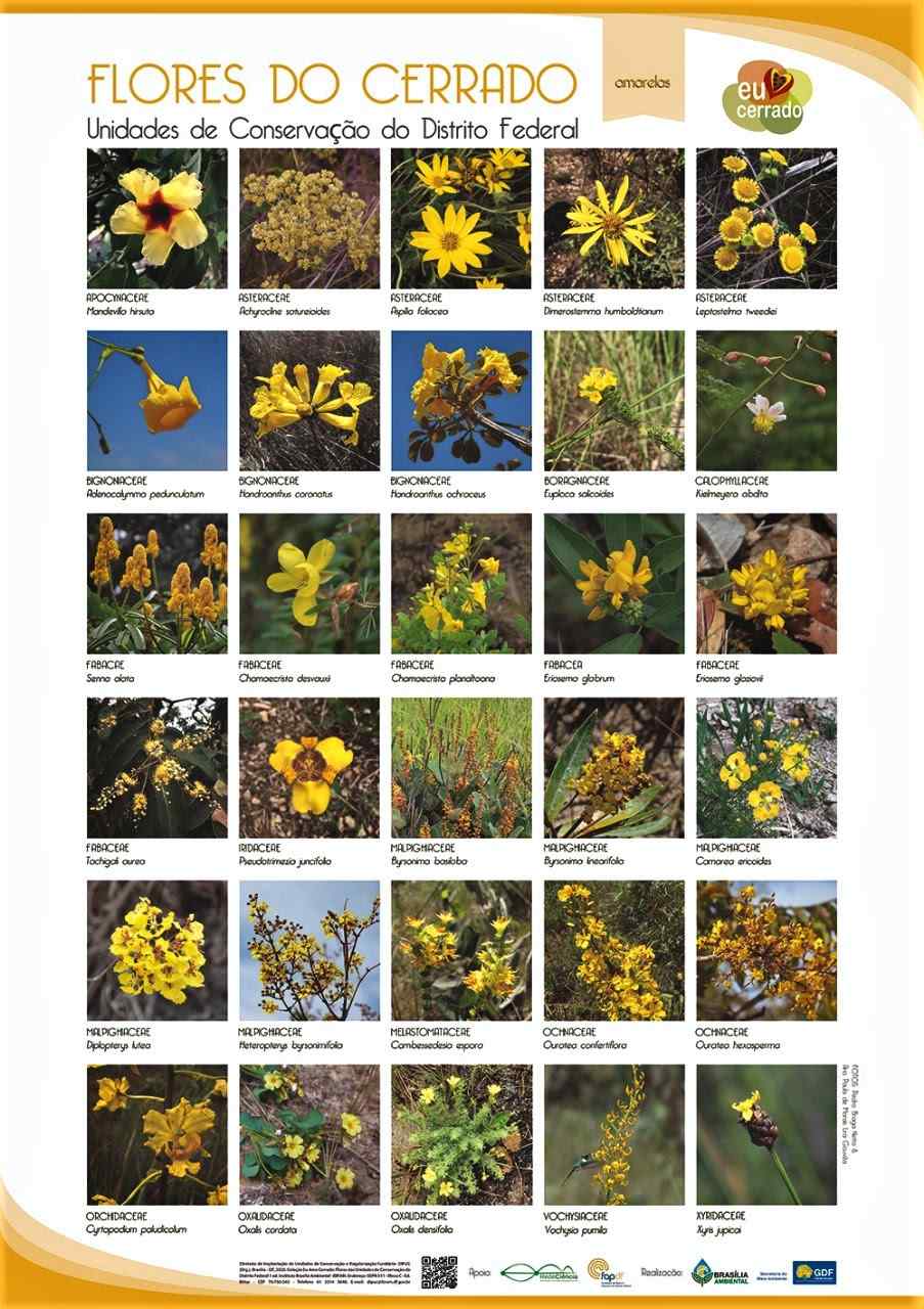 Guia Completo do Guia de Campo da Flora do Cerrado do JBB