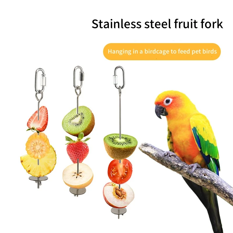 Guia Completo de Comedouros para Aves: Tipos e Materiais