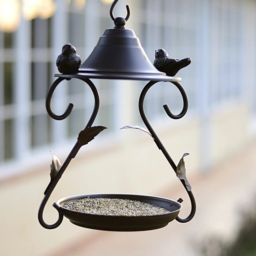 A Importância da Higiene dos Comedouros para a Saúde das Aves