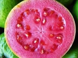 A Importância da Higiene dos Comedouros para a Saúde das Aves