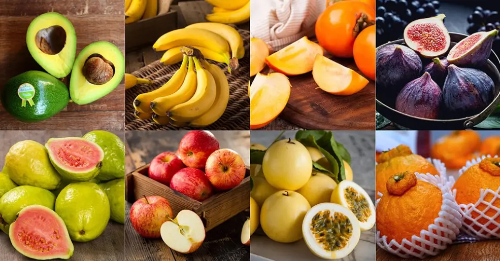 Como Escolher o Vaso Ideal para sua Árvore Frutífera