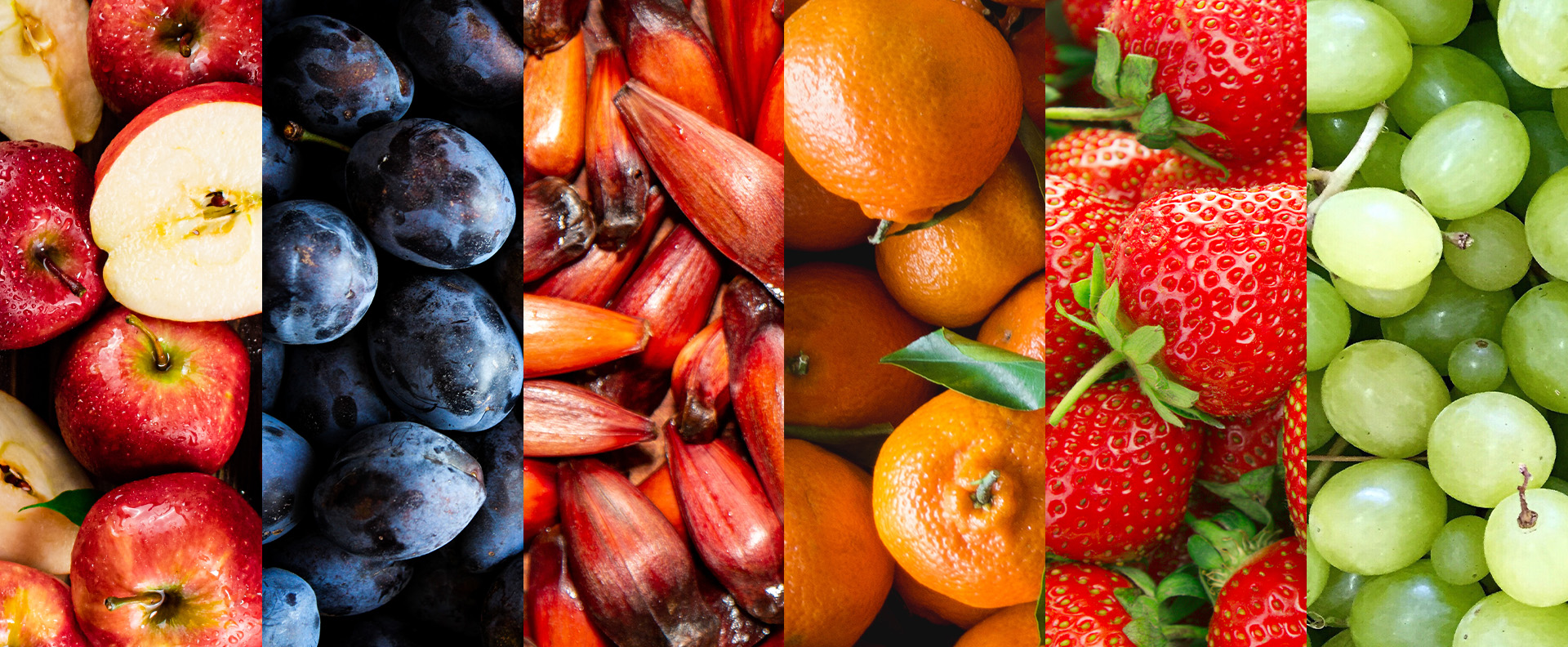 Guia Completo de Adubação para Frutíferas de Interior