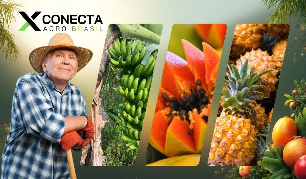 Adubação Ideal para Frutas em Solos Argilosos: Potássio e Cálcio