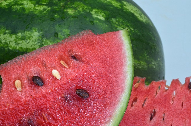 Aroeira-pimenteira: a frutífera resistente para várzeas e seus usos.