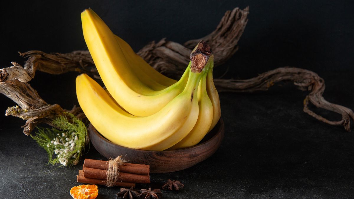 5 Frutas Vermelhas Perfeitas para o Seu Jardim de Outono