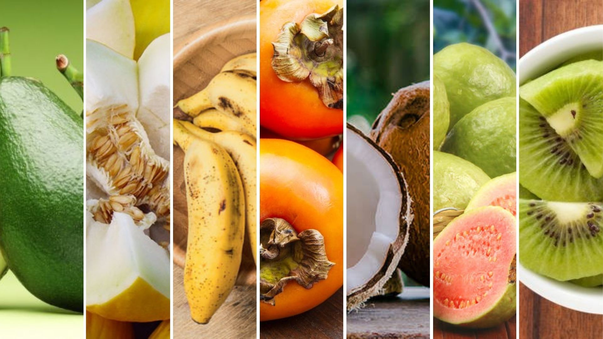 Plantio de Citros no Outono: Dicas Essenciais para um Pomar Saudável