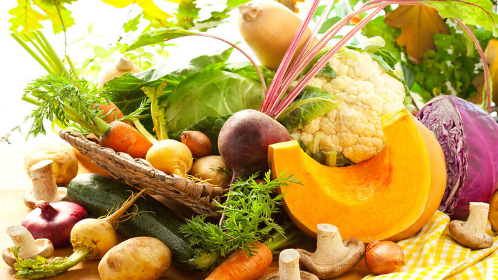 Guia Completo: Como Preparar o Solo para o Plantio de Frutíferas no Outono