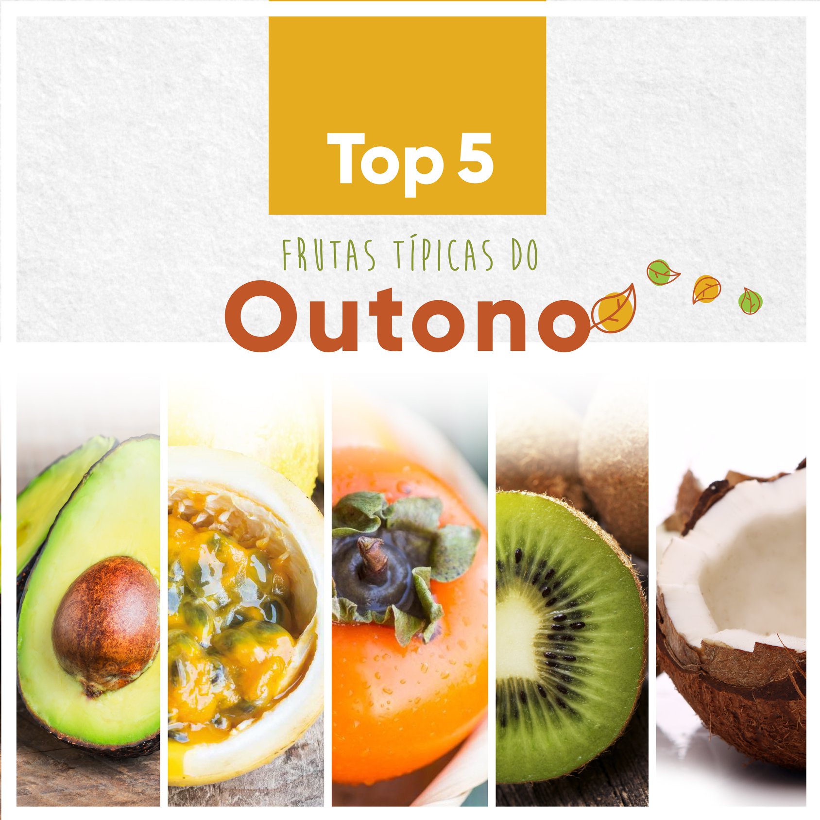 5 Frutas Vermelhas Perfeitas para o Seu Jardim de Outono