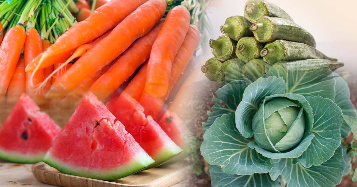 frutas que podem ser plantadas no verão