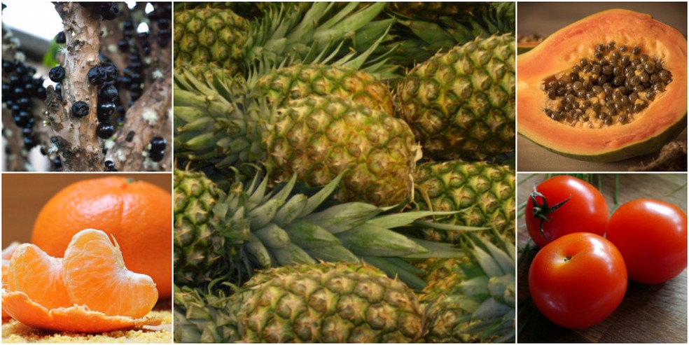 Proteção contra sol forte: dicas para mudas jovens