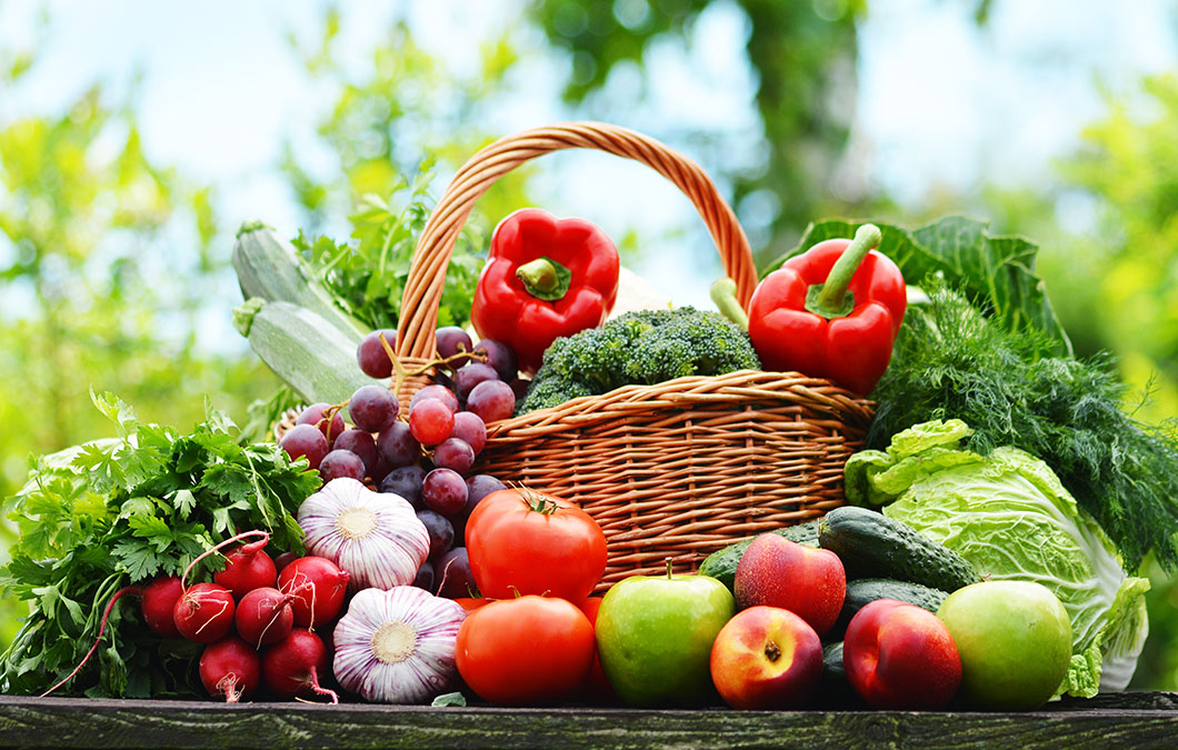 Proteção contra sol forte: dicas para mudas jovens