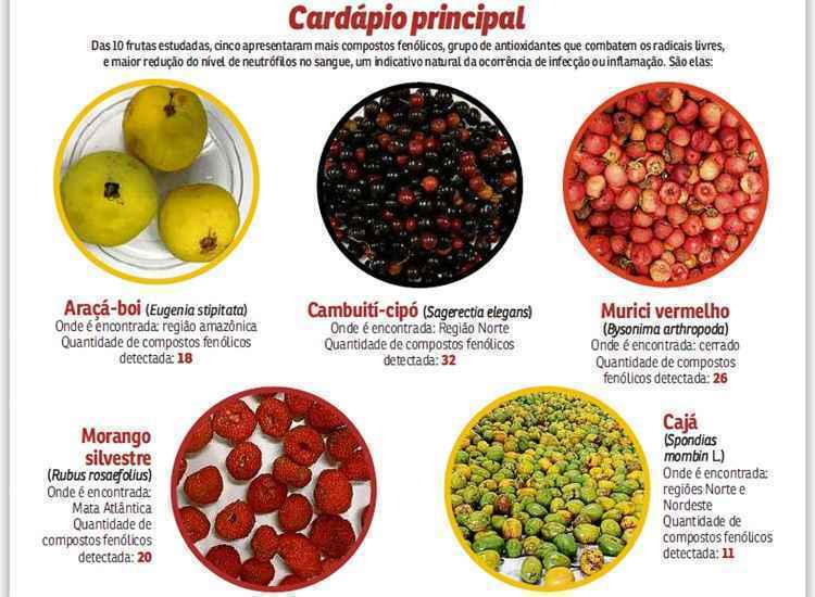 Mudas de Frutas Nativas: Onde Encontrar e Como Cuidar