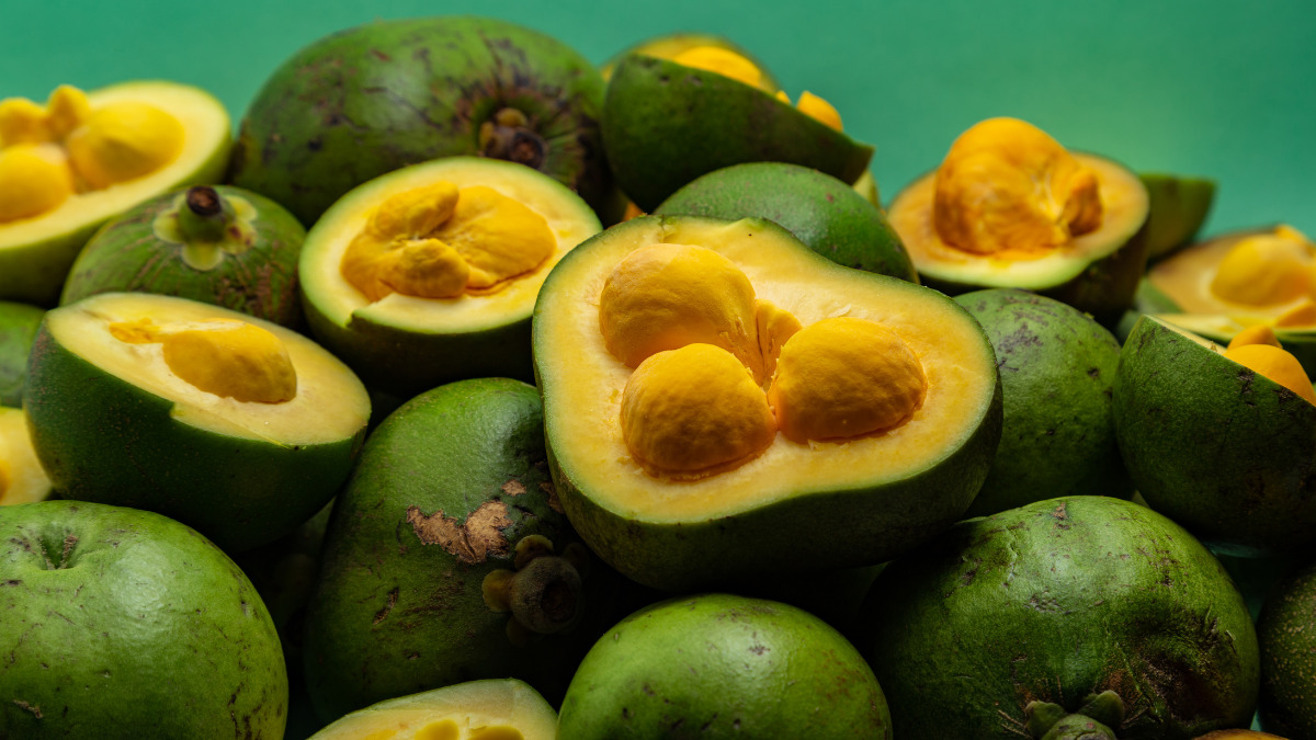 Além da Jabuticaba: Conheça Outras Frutas Nativas Incríveis para o seu Jardim