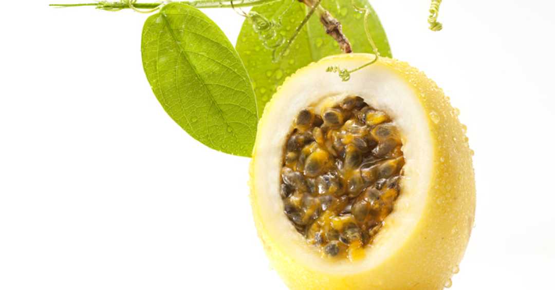 Top 5 Frutas Nativas Ideais para Vasos e Pequenos Espaços