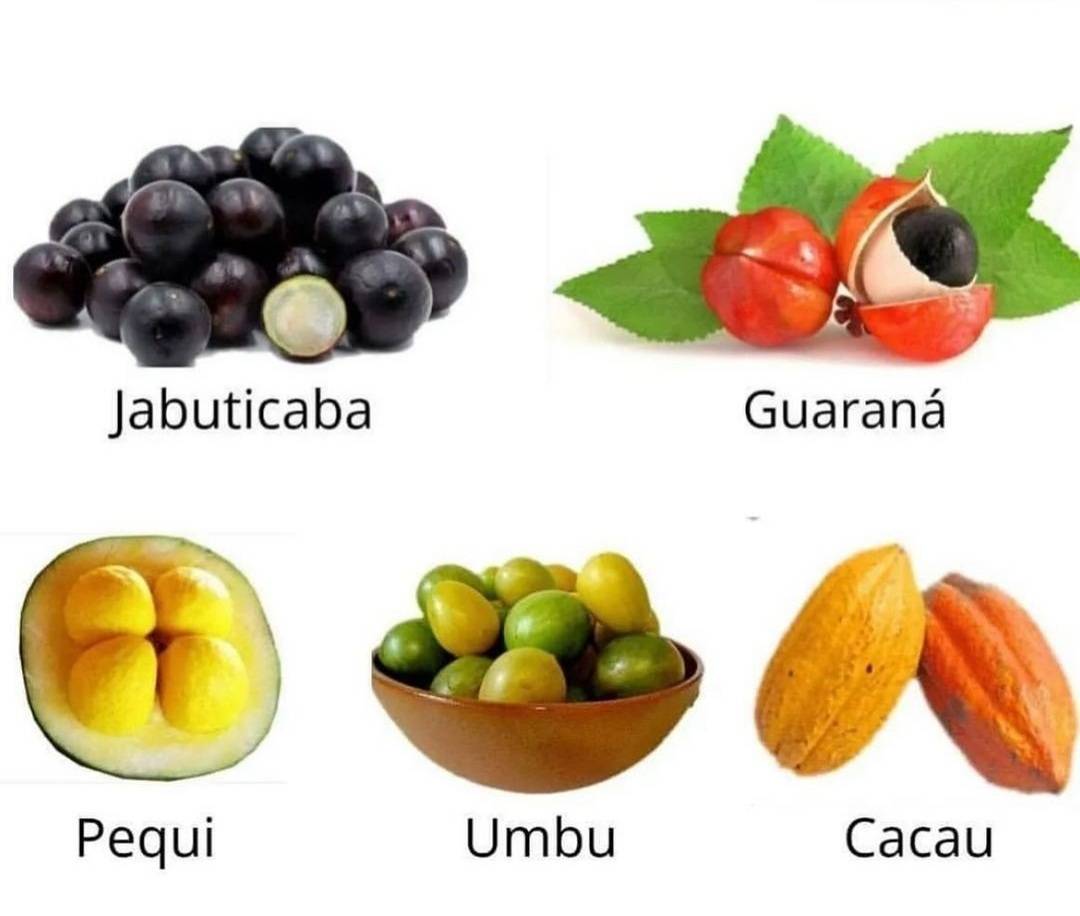 Descubra os Benefícios Nutricionais das Frutas do Cerrado e Caatinga