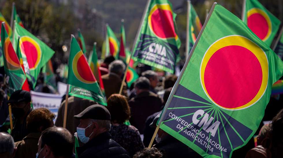 função da confederação nacional da agricultura cna