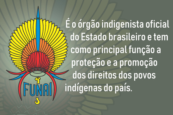 função da funai na política nacional