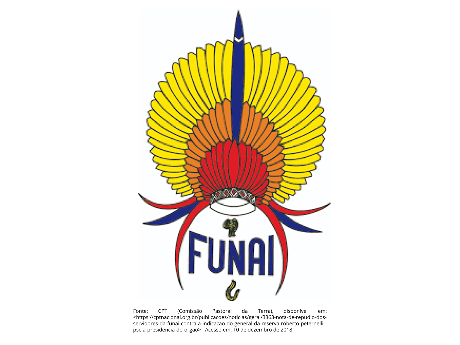 função da funai na política nacional