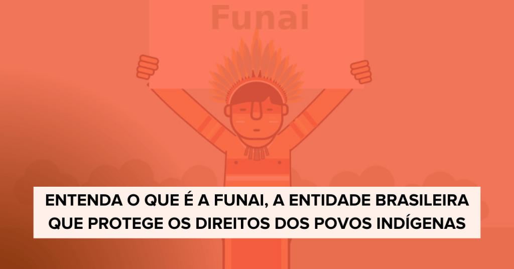 função da funai na política nacional