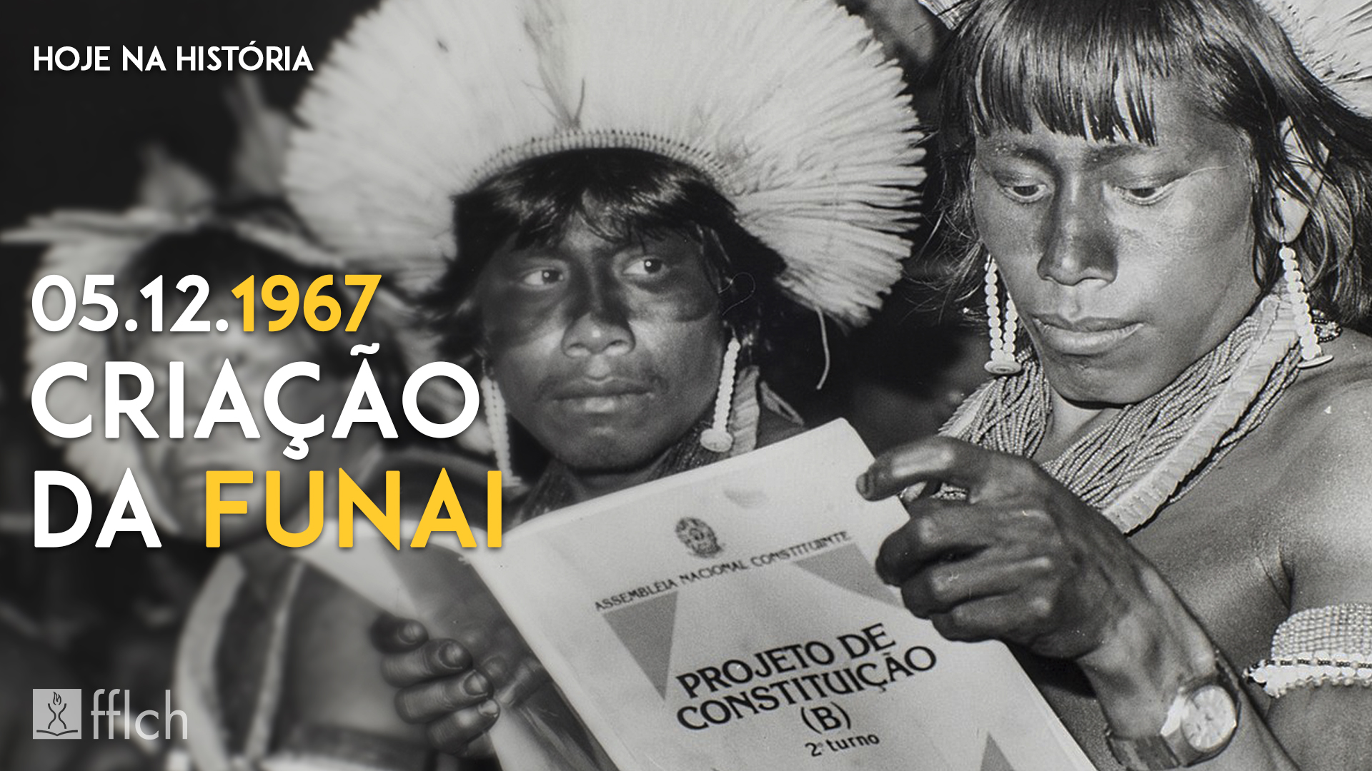 função da funai na política nacional