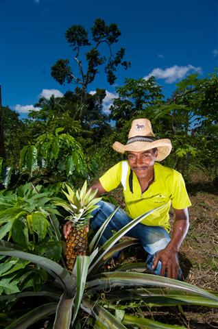 função do ministério do desenvolvimento agrário
