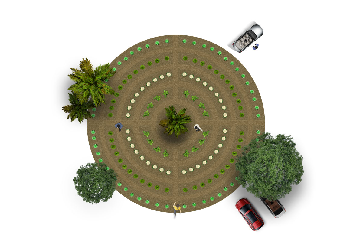 5 plantas ideais para horta mandala