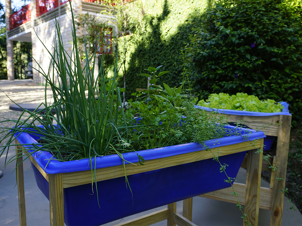 Guia Completo: Impermeabilização de Caixotes para Horta Orgânica; As Melhores Plantas de Raiz Curta para sua Horta em Apartamento; Adubação Orgânica Eficaz: Como Nutrir sua Horta em Caixotes; Drenagem Perfeita: Evitando Problemas na Horta de Caixotes; Combatendo Pragas Naturalmente: Dicas para sua Horta Orgânica