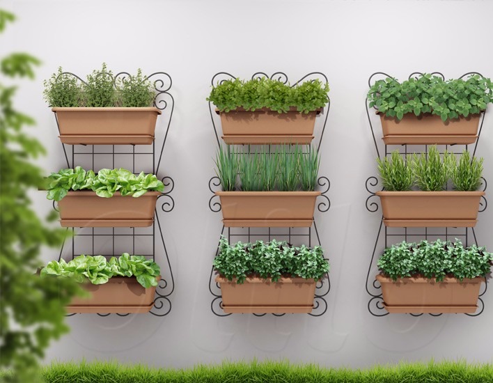 horta vertical de madeira para parede