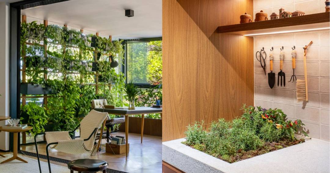 Guia Completo: Como Montar sua Horta Vertical em Casa