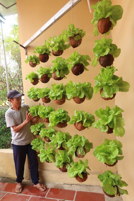 Ideias Criativas de Decoração com Jardins Verticais