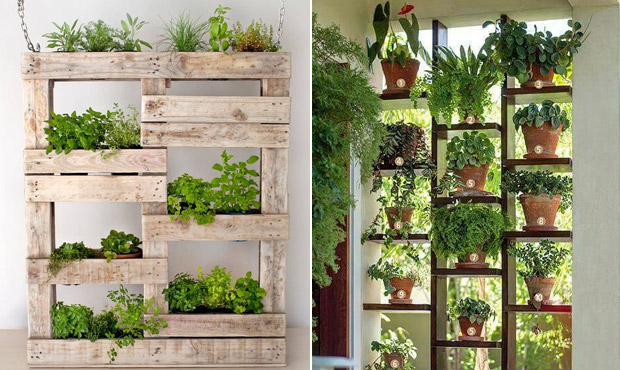 Benefícios da Horta Vertical para a Saúde e o Bem-Estar