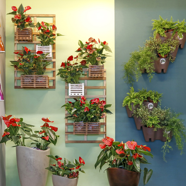 Ideias Criativas de Decoração com Jardins Verticais