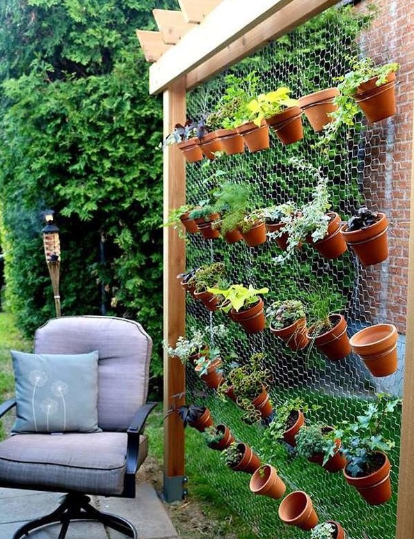 Guia Completo: Como Montar sua Horta Vertical em Casa