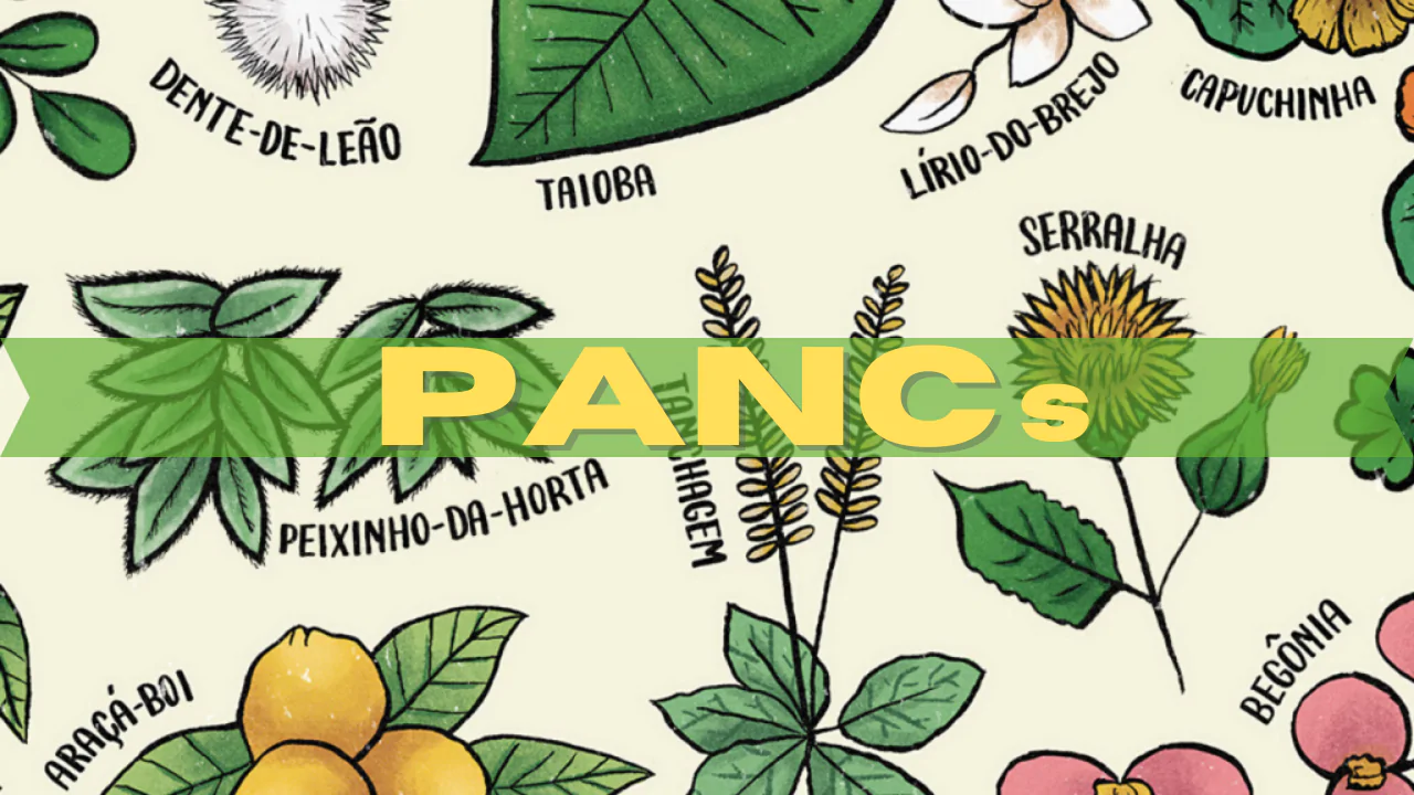 Uma Revolução Verde
5. Identificando e Utilizando PANC: Um Guia Prático para Diversificar sua Dieta