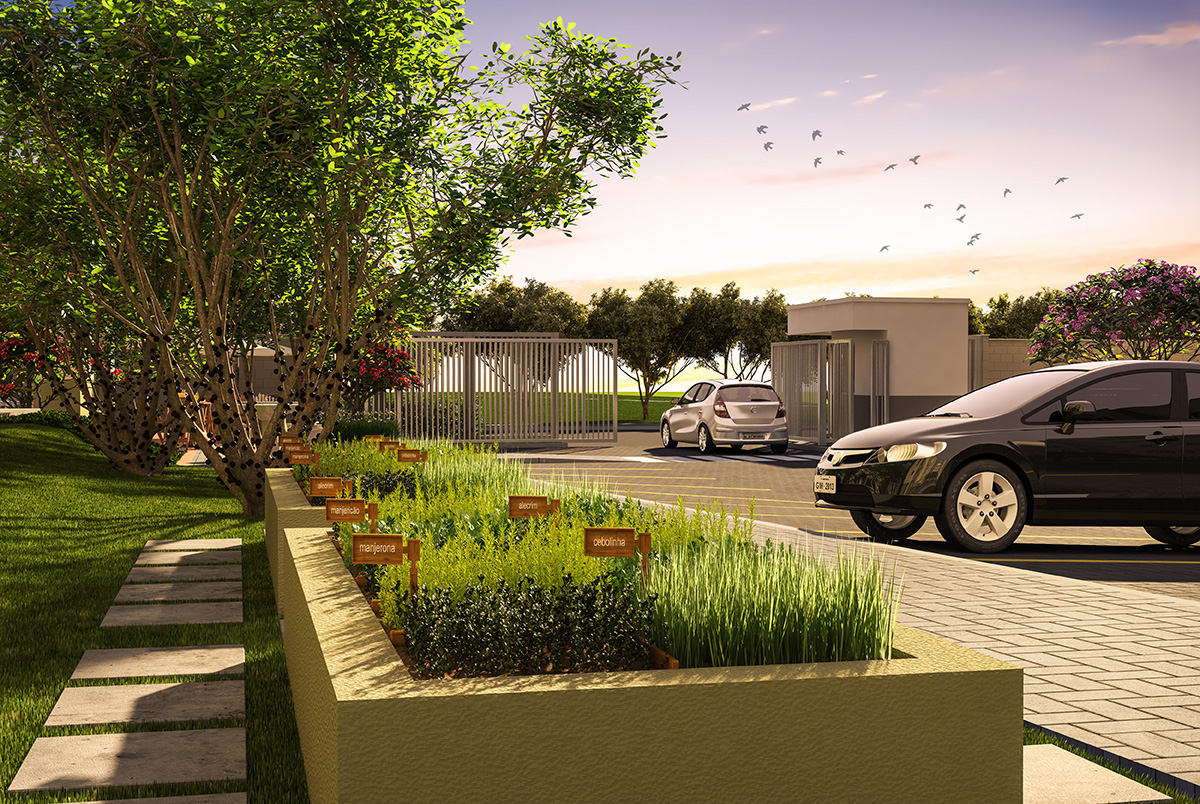 hortaliças para horta comunitária urbana